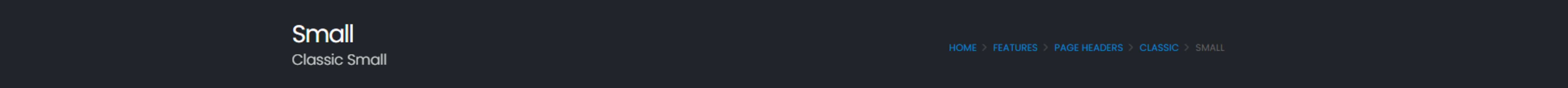 Classic Small Classic Small