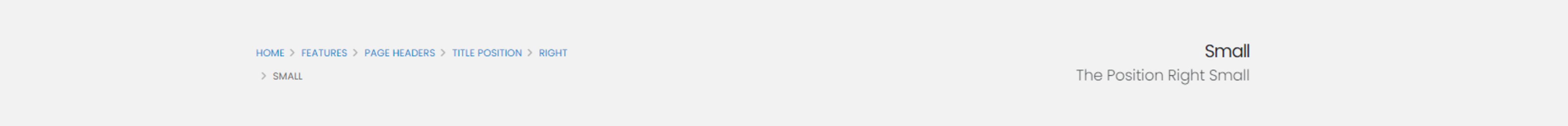 The Position Right Small The Position Right Small