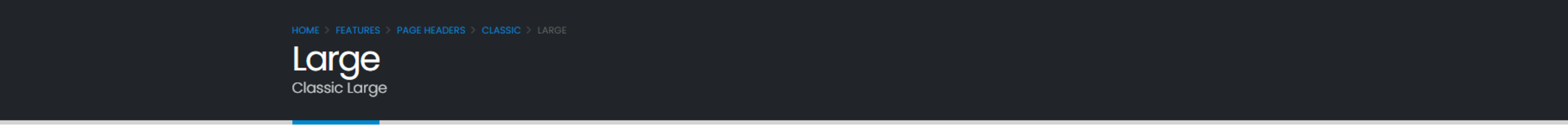 Classic Large Classic Large