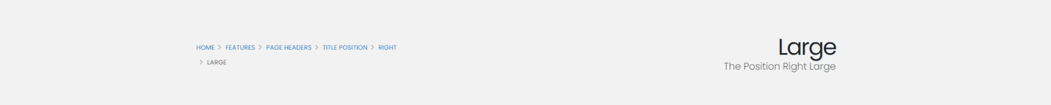 The Position Right Large The Position Right Large